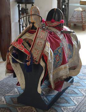 Mintoff saddle Matthew Mirabelli